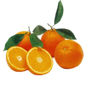 پرتقال آبگیری۱کیلوگرمی