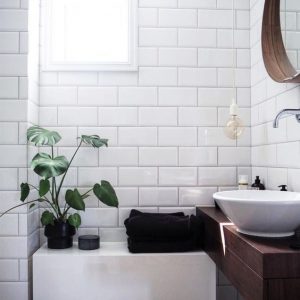 برگ‌انجیری مناسب حمام و سرویس بهداشتی