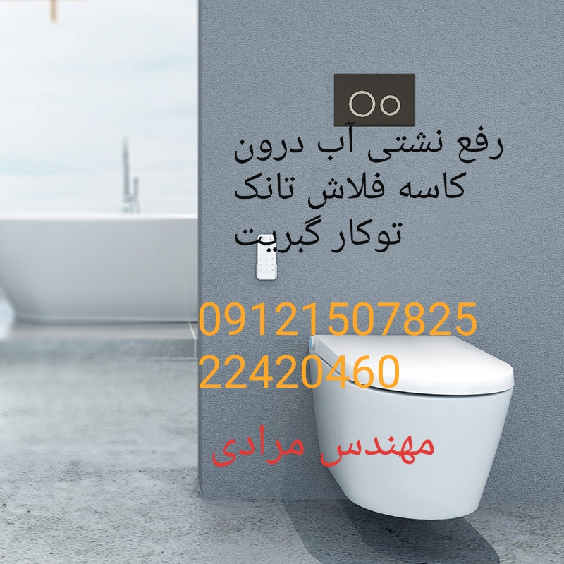 فروش_خدمات و تعمیر فلوتر فلاش تانک توکار گبریت geberit 09121507825