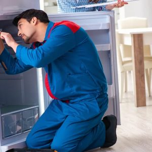 تعمیر همه مدل یخچال در تهران-09121507825